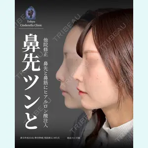 症例