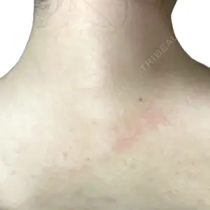 口コミ