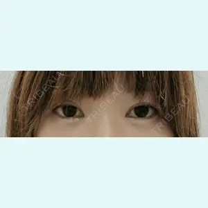 口コミ