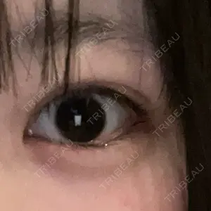 口コミ