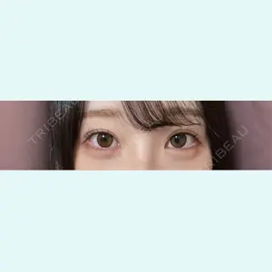口コミ