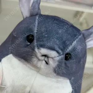 口コミ