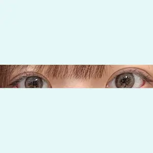 口コミ
