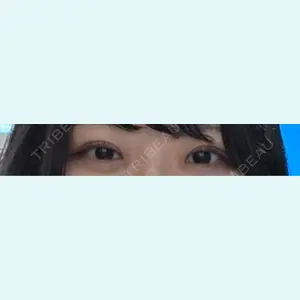 口コミ