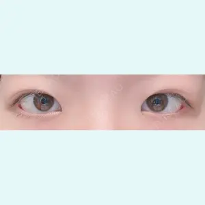 口コミ