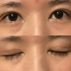 口コミ