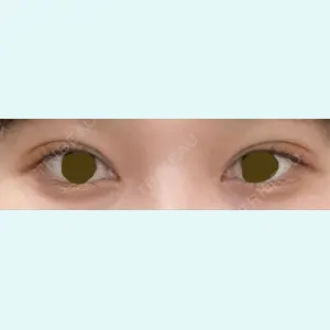 口コミ
