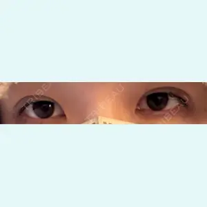 口コミ