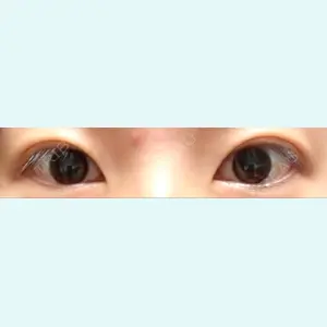 口コミ