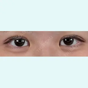 口コミ