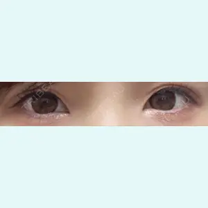 口コミ
