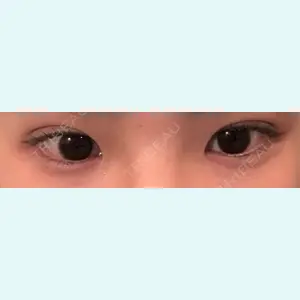 口コミ