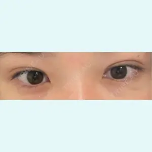口コミ