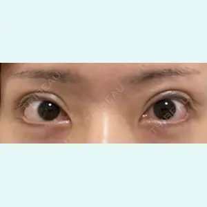 口コミ