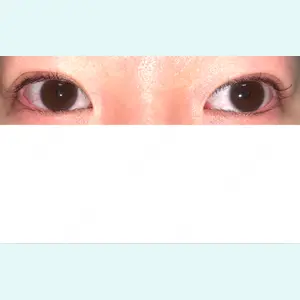 口コミ