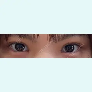 口コミ