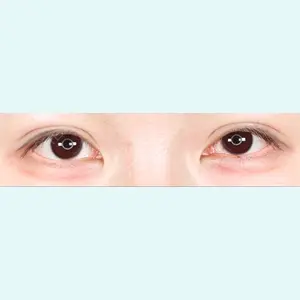 口コミ
