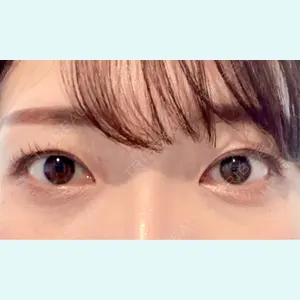 口コミ