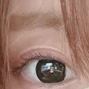 口コミ