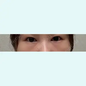 口コミ