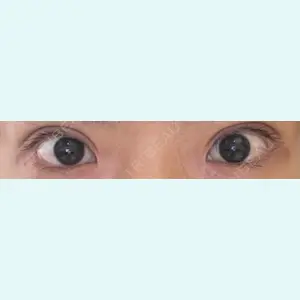 口コミ