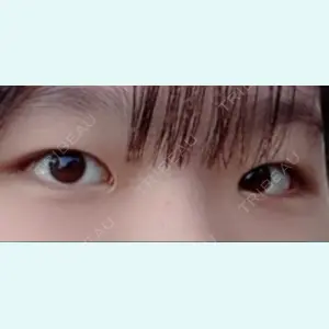 口コミ