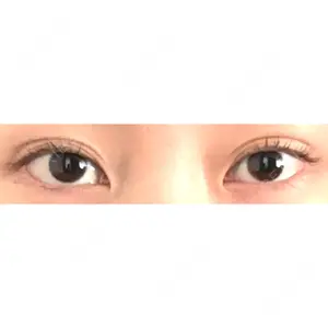 口コミ