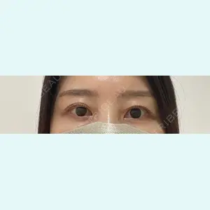 口コミ