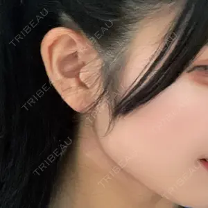 口コミ