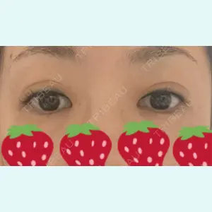 口コミ
