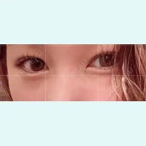口コミ
