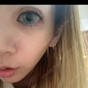 口コミ