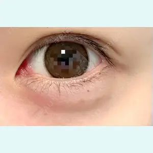 口コミ