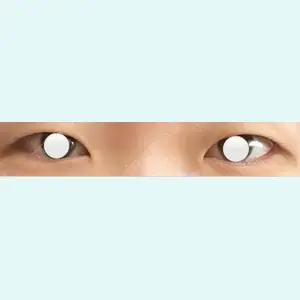 口コミ