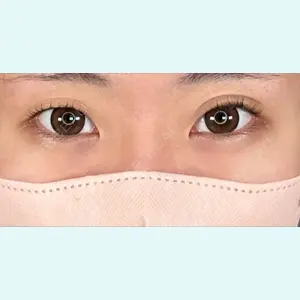 口コミ