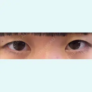 口コミ