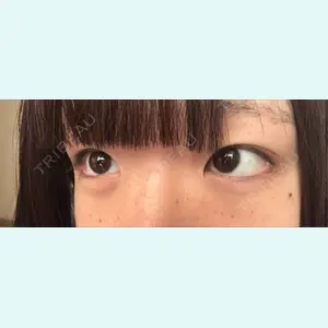 口コミ