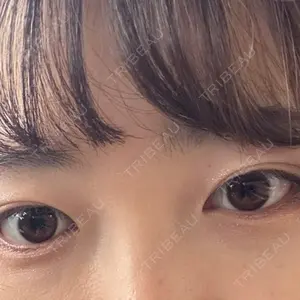 口コミ