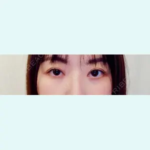 口コミ
