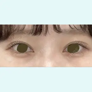 口コミ