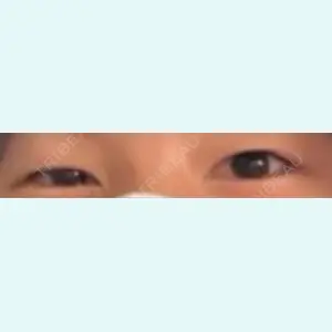 口コミ