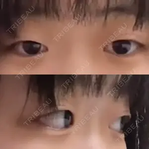 口コミ