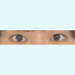 口コミ