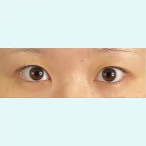 口コミ