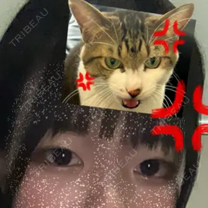 口コミ