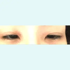 口コミ