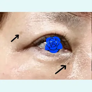 口コミ