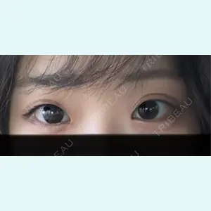 口コミ