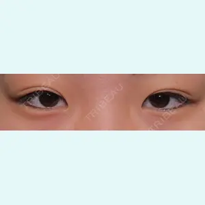 口コミ