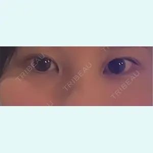 口コミ